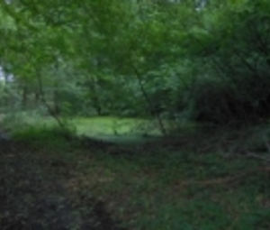 Természeti adottságok Természeti adottságok